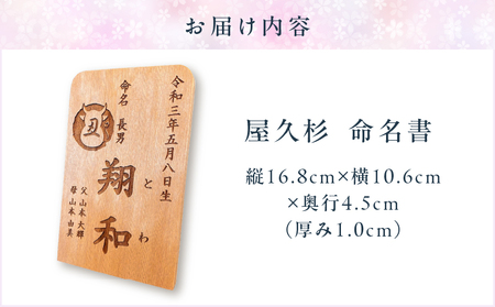 屋久杉 命名書 K042-003