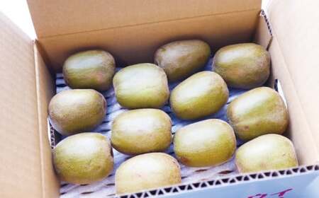 レッドキウイ フルーツ 紅妃 2kg Shirai.agrifarm フルーツ F012-115001
