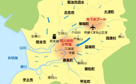 い・ろ・は・す（いろはす）阿蘇の天然水 2L×6本 540ml×24本×1ケース セット 水 みず ミネラルウォーター 天然水 ペットボトル 飲料水 飲料