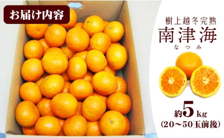 【 小豆島 】 南津海 （ なつみ ） みかん 約5kg 柑橘 ミカン 果物 フルーツ  越冬 完熟 くだもの 国産 香川 香川県 土庄 土庄町