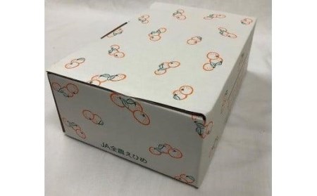 せとかのゼリー12個入り ゼリー ゼリー ゼリー ゼリー ゼリー【JZE001_x】
