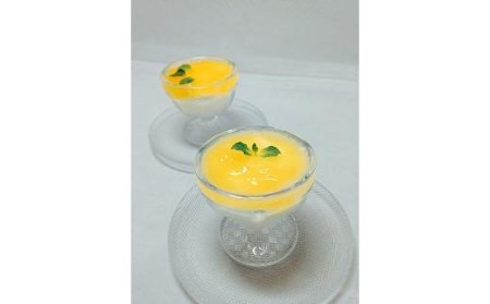 ＜大容量！＞本格かんきつジュレ「いちずみ」20個入り ゼリー ゼリー ゼリー ゼリー ゼリー ゼリー【KK0082】