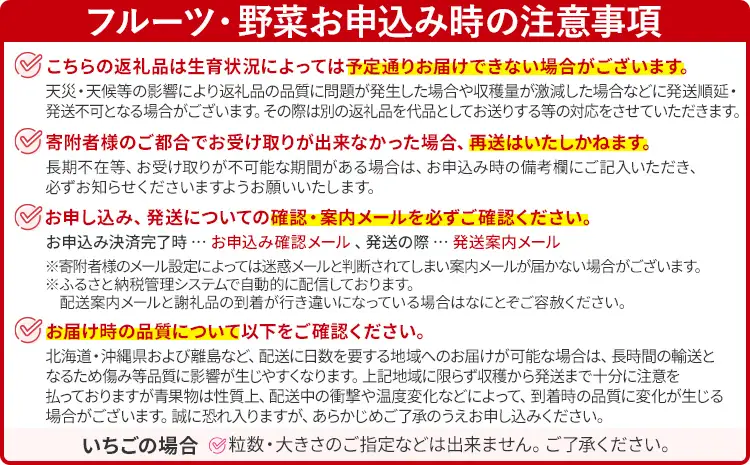 とうもろこし  朝採りスイートコーン（20本） 【6月中下旬～7月上中旬に順次出荷予定】 とうもろこし 