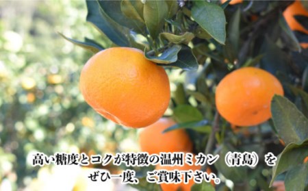 【数量限定】高糖度系 温州みかん(青島) 約10kg[OAF006] ミカン