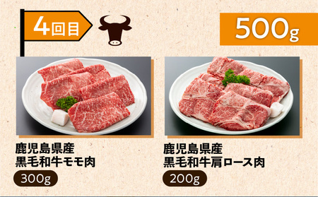 【 岩元精肉店 】 鹿児島県産 精肉 厳選 4か月 お届け コース K045-T04 肉 豚肉 牛肉 鶏肉 冷凍