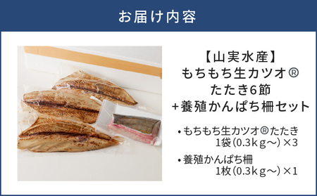 【 山実水産 】 もちもち 生カツオ (R) たたき 6節 + 養殖 かんぱち 柵 セット K046-001 魚