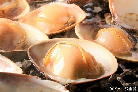 桑名はまぐり屋　漁師厳選　桑名産天然はまぐり6年～12年もの　2kg_蛤　ハマグリ　魚介　貝　魚貝　活はまぐり　焼きはま　海鮮　網焼き　酒蒸し　お吸い物　パエリア　パスタ　bf01