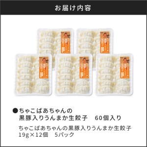 ちゃこばあちゃんの黒豚入りうんまか生餃子 60個入り K027-001 肉 豚肉 惣菜 総菜 冷凍