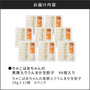 ちゃこばあちゃんの黒豚入りうんまか生餃子 96個入り K027-002 肉 豚肉 惣菜 総菜 冷凍