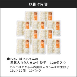 ちゃこばあちゃんの黒豚入りうんまか生餃子 120個入り K027-003 肉 豚肉 惣菜 総菜 冷凍
