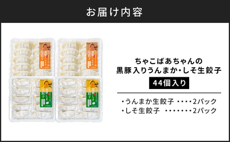 ちゃこばあちゃんの黒豚入りうんまか・しそ生餃子 計44個入り K027-004 肉 豚肉 惣菜 総菜 冷凍