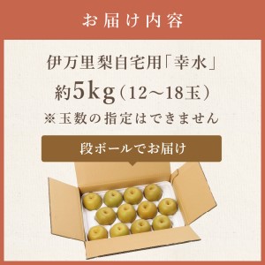 【令和8年産先行予約】伊万里梨 「幸水」 約5kg ご自宅用におすすめ 178-B938