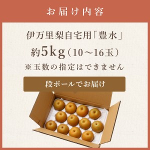【令和8年産先行予約】伊万里梨 「豊水」 約5kg ご自宅用におすすめ 178-B939