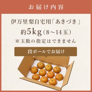 【令和8年産先行予約】伊万里梨「あきづき」 約5kg  178-B940