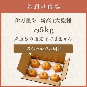【令和8年産先行予約】伊万里梨「新高」 5kg 大型種 178-B942
