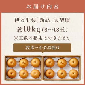 【令和6年産先行予約】伊万里梨「新高」 10kg (約5kg×2箱)  178-B166