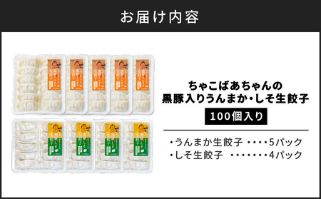 ちゃこばあちゃんの黒豚入りうんまか・しそ生餃子 計100個入り K027-006 肉 豚肉 惣菜 総菜 冷凍