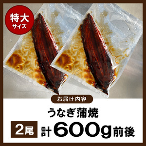 うなぎの蒲焼ビッグサイズ　2尾（計600g前後）_K04705