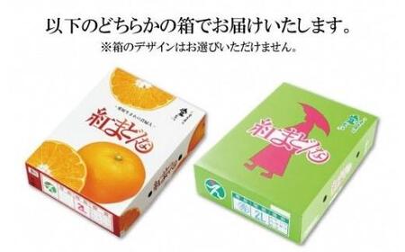 2026年11月下旬頃から順次発送】紅まどんな 約3kg（8~15玉）4L～L