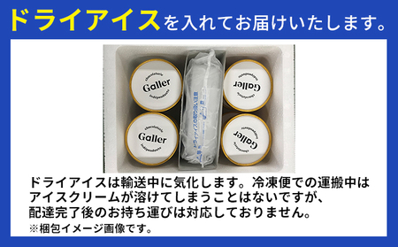 ガレープレミアムアイスクリーム 12個 お菓子 菓子 スイーツ 