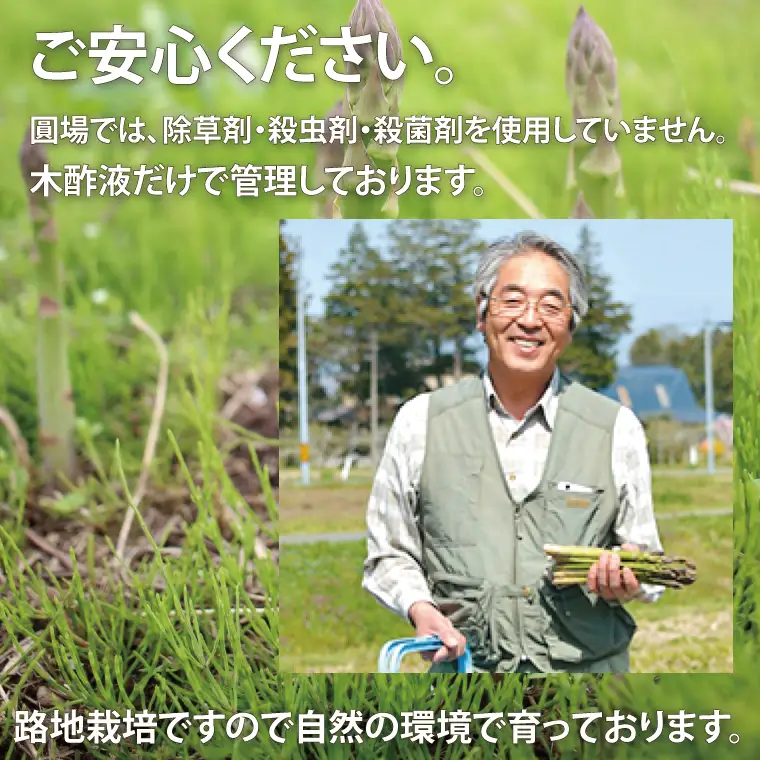 【ふるなびWEEK対象】【先行予約 数量限定】フルーツ アスパラ 1.2kg CS002 アスパラガス