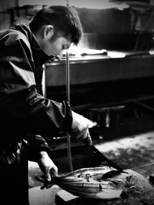 a18-058　ねこのかつおくん15パックセット