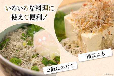 日向灘獲れお船出　上ちりめんセット 50g×7袋 (計350g) [道の駅「日向」物産館 宮崎県 日向市 452060581]