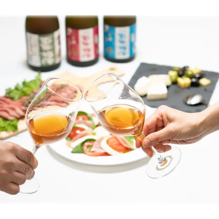 【全国梅酒品評会金賞受賞】百年梅酒プレミアム（DW-101）