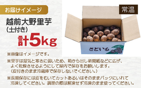 【先行予約】越前大野里芋 5kg ねっとりうまい煮崩れしない！【11月より順次発送】