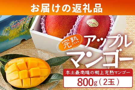 ≪先行予約・数量限定≫ ☆本土最南端☆佐多の果樹園で育てた 完熟アップルマンゴー 約800g ( 2玉 ) 【2026年7月上旬以降順次発送】 ST-406 ｜鹿児島県 南大隅 産地直送 旬 マンゴー フルーツ 果物 くだもの 
