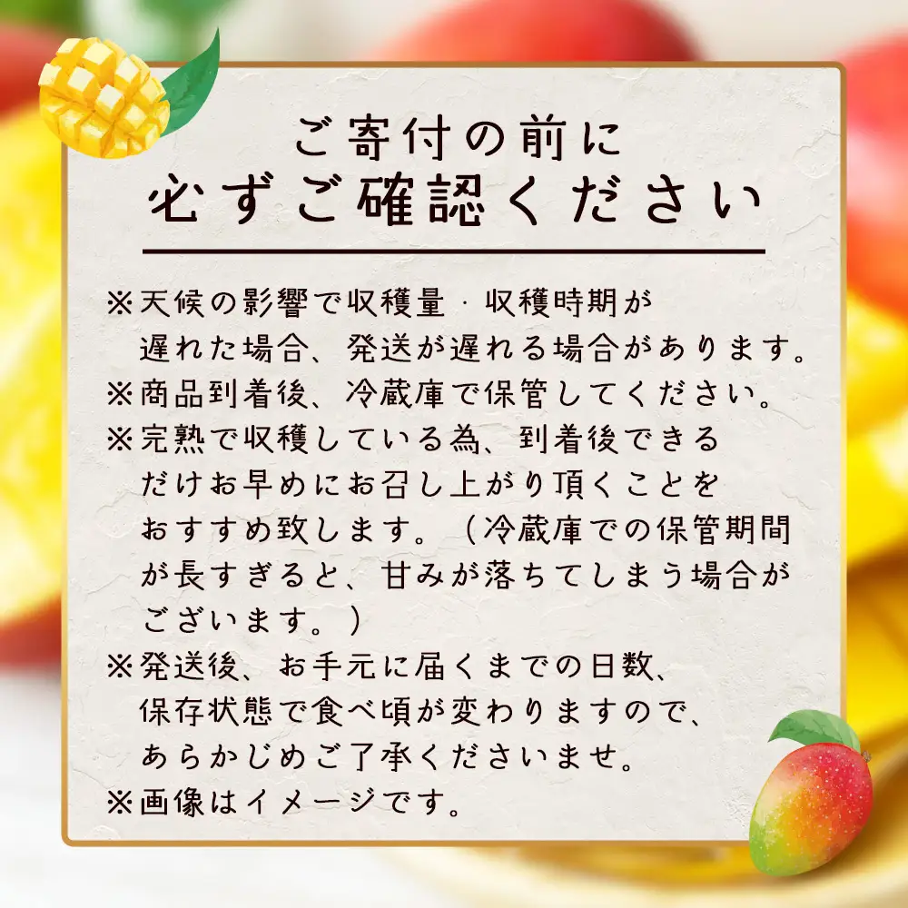 太陽をたっぷり浴び濃厚な甘さ！南国の香りが漂う【本土最南端南大隅町産マンゴー】 【先行予約】☆本土最南端☆佐多の果樹園で育てた 完熟アップルマンゴー 1kg (2～3玉) 【2026年7月上旬以降順次発送】 ST-407 ｜鹿児島県 南大隅町 産地直送 旬 マンゴー フルーツ 果物 くだもの アップル マンゴー 詰め合わせ セット 数量限定 第一佐多果樹園