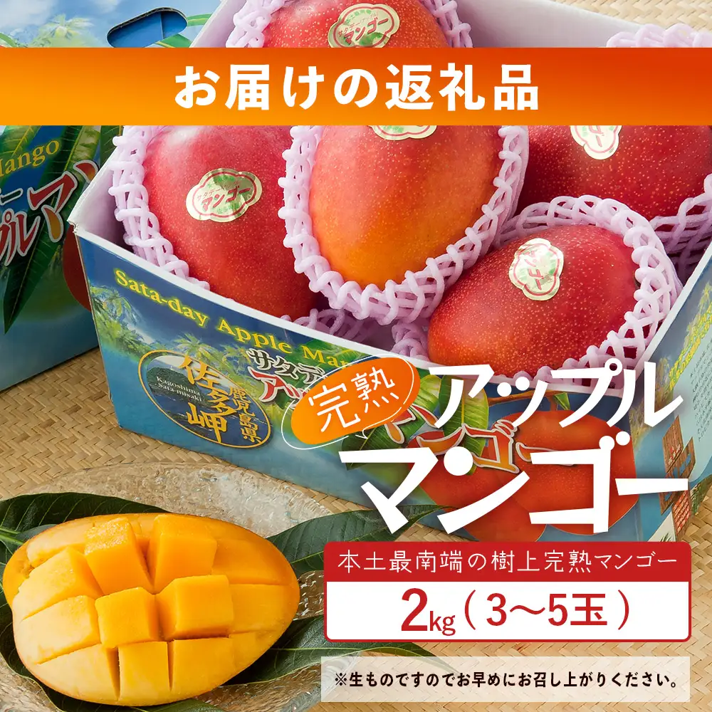 ≪先行予約・数量限定≫ ☆本土最南端☆佐多の果樹園で育てた 完熟アップルマンゴー 約2kg (3～5玉) 【2026年7月上旬以降順次発送】 ST-408 ｜鹿児島県 南大隅 産地直送 旬 マンゴー フルーツ 果物 くだもの 