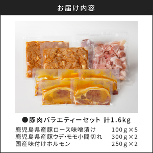 【 ナンチクファクトリー 】 豚肉 バラエティー セット 計 1.6kg （A1） K073-001 肉 惣菜 総菜 冷凍