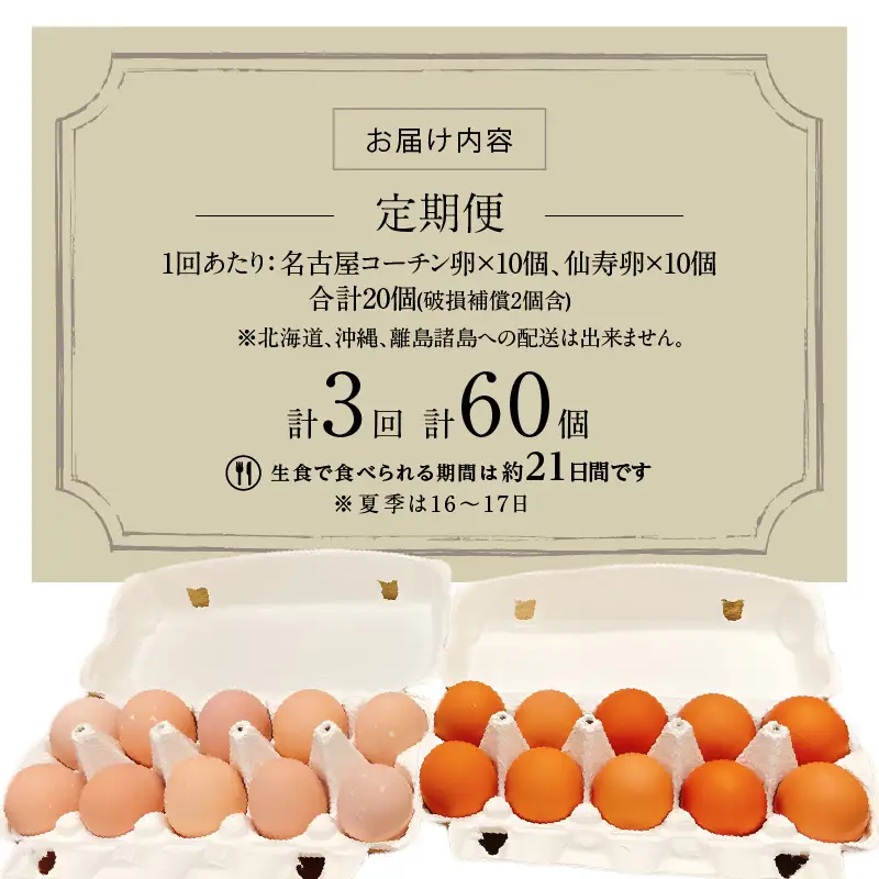 【3ヶ月定期便】名古屋コーチン卵・仙寿卵お試しセット（各10個入り）×3回（計各30個） 日本三大地鶏　小牧市発祥[006K02-T]コーチン卵 仙寿卵 高品質卵 濃厚卵