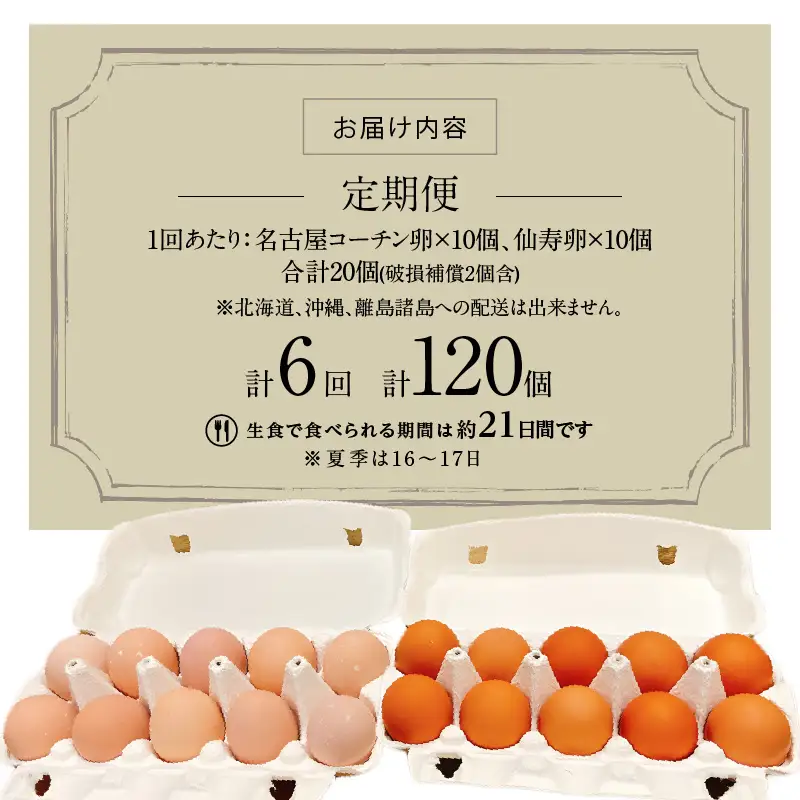 【6ヶ月定期便】名古屋コーチン卵・仙寿卵お試しセット（各10個入り）×6回（計各60個）日本三大地鶏　小牧市発祥 [006K04-T]コーチン卵 仙寿卵 高品質卵 濃厚卵