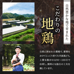 地鶏 丹波 黒鶏 むね肉 4kg とり肉 鶏肉 鶏 肉 お肉 鶏むね肉 鳥むね チキン むね ブランド鶏 揚げ物 サラダ 蒸し鶏 塩焼き キャンプ アウトドア BBQ ヘルシー 健康 トレーニング ダイエット 鶏ムネ肉 食材 国産 国産鶏肉 唐揚げ 肉料理 タンパク質 