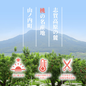 【2026年発送】志賀高原の麓で育った 桃（白鳳系）特秀18玉 約５kg 桃 もも 白鳳 フルーツ 果物 デザート 長野県 長野