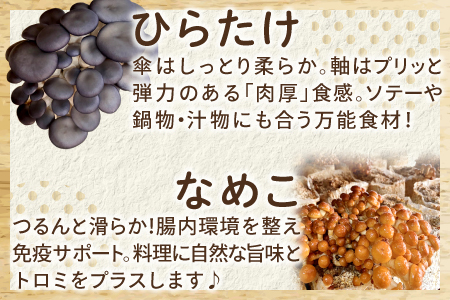 オーガニックきのこバラエティ小セット約800g（5種9パック入）
