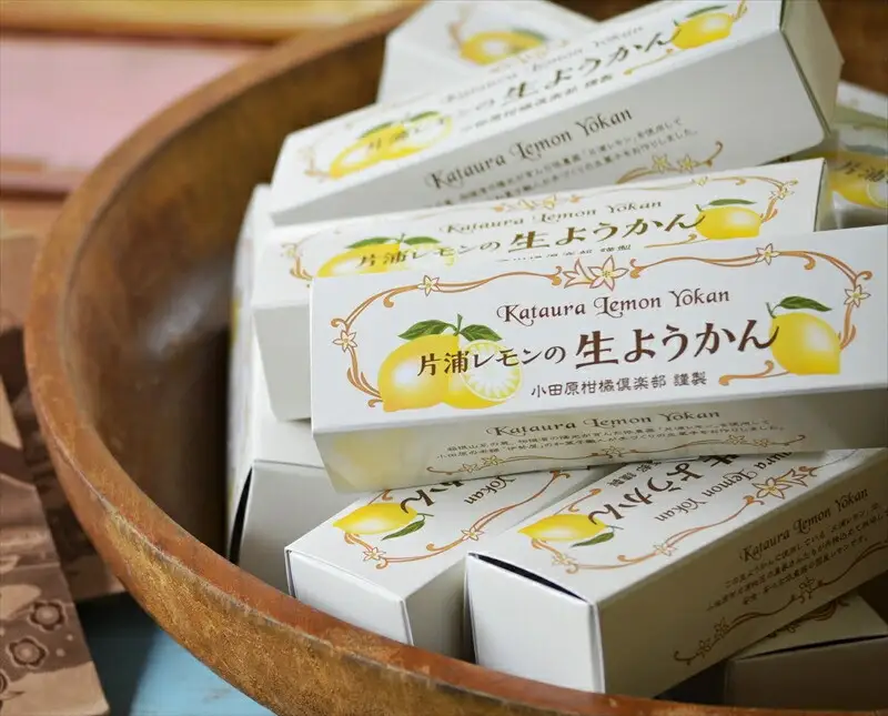 小田原老舗和菓子店の手づくり片浦レモンの生ようかん【和菓子店 手作りようかん 片浦レモンの生ようかん  職人の手作り 神奈川県指定銘菓 レモン 和スイーツ   神奈川県 小田原市 生ようかん 生ようかん】