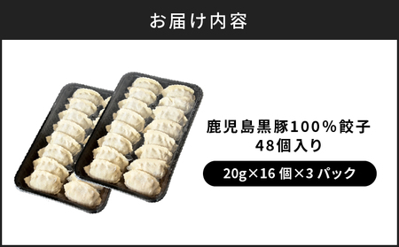 【第1回 日本全国！ ご当地冷凍食品大賞 2024-2025 優秀賞受賞！】鹿児島黒豚100%餃子 48個入り K027-008 肉 豚肉 惣菜 総菜 冷凍