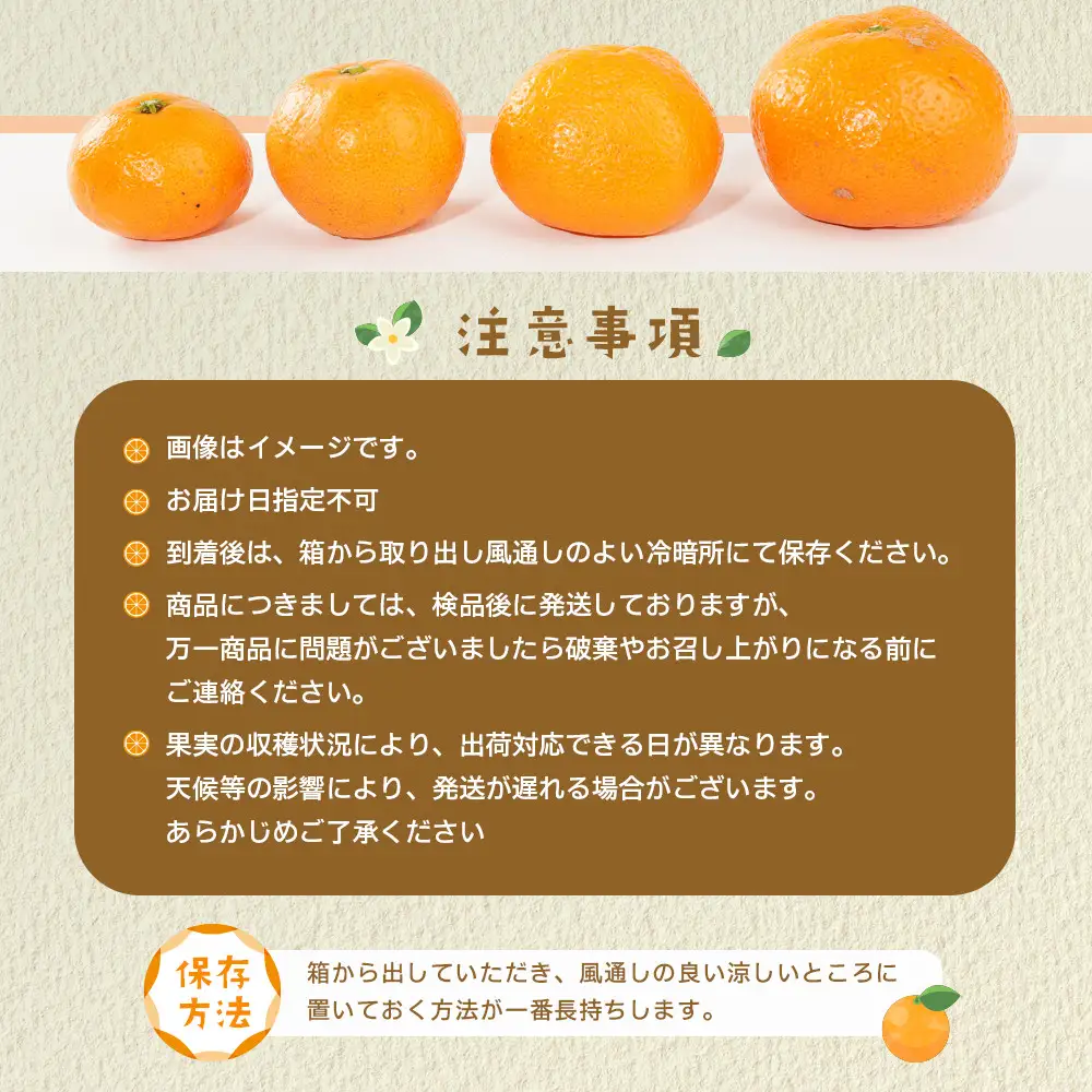 産地直送 贈答用 有田みかん Mサイズ 約10kg 喜楽farms 【2026年11月以降順次発送】