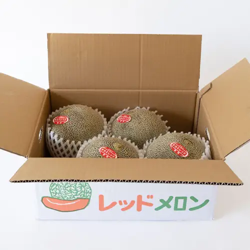 【先行受付】メロン タカミレッドメロン 1箱 3玉～5玉  2026年発送