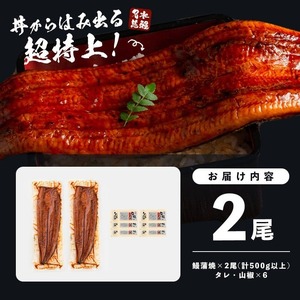 【10営業日以内に発送】【数量限定】鹿児島県産うなぎ蒲焼 名水慈鰻 超特上 2尾(1尾あたり236~270g)＜計500g以上＞ うなぎ 鰻 ウナギ 2尾 国産 蒲焼 かばやき 冷凍 真空 真空パック 無頭 うな重 ひつまぶし タレ 山椒 a5-352