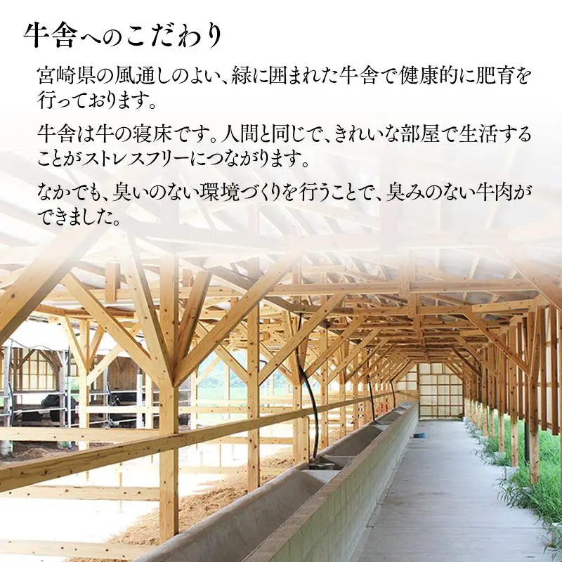 黒毛和牛『都萬牛』ローススライス300g すき焼き しゃぶしゃぶ 牛肉＜6-6a＞★