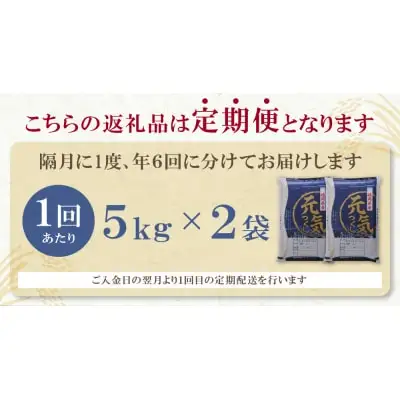 Y17-82 研ぐお米福岡県産・元気つくし10kg定期便(隔月・年6回)