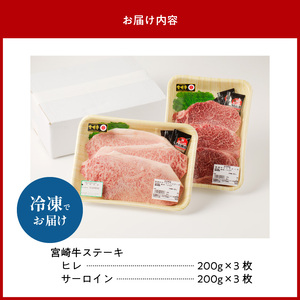 ヒレ・サーロインステーキセット各200g×3枚 N023-YZF004