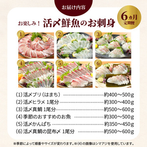 【お楽しみ定期便】延岡産活〆鮮魚の豪華 お刺身 6ヶ月定期便 鮮魚 延岡産 刺身 ヒラメ 真鯛 カンパチ 季節 魚 ブリ ハマチ 国産 昆布〆 おつまみ カルパッチョ 鮮魚 魚介類 食品 冷蔵 請関水産 グルメ お取り寄せ 宮崎県 延岡市 送料無料 N019-YF073