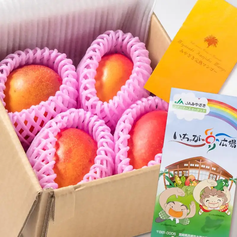 【先行予約】訳あり 糖度12度以上 ご家庭用 西都産完熟マンゴー 約1kg（3～5玉）　JA西都　2026年発送＜2-3a＞