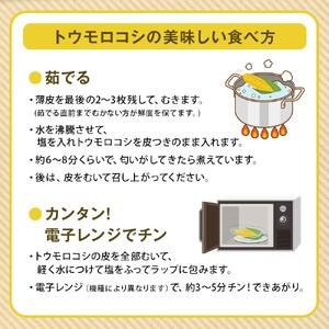 【26年5月発送開始】かに太郎 定期便Bセット（アスパラ、赤肉メロン、白くまコーン）全3回 | アスパラ _01597