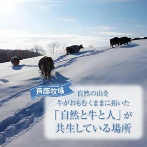 斉藤牧場の山地自然放牧牛乳【お試しセット】（900ml×2本）_01162